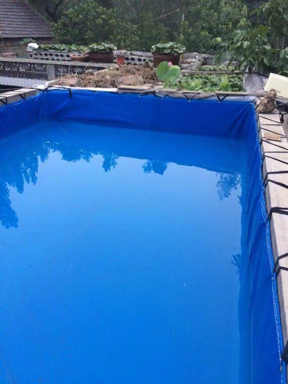 养殖帆布鱼池厂家-篷布水池批发-篷布鱼池价格