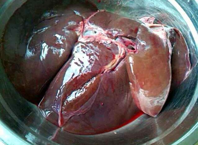 羊肝肽粉 羊肝肽羊肝提取物20:1速溶粉