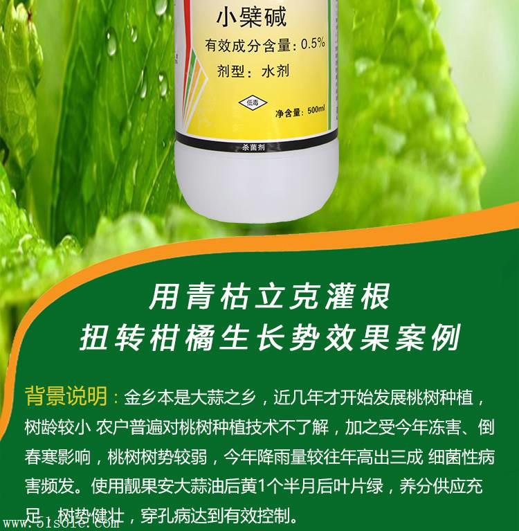 中草药杀菌剂青枯立克番茄青枯病溃疡病特效药