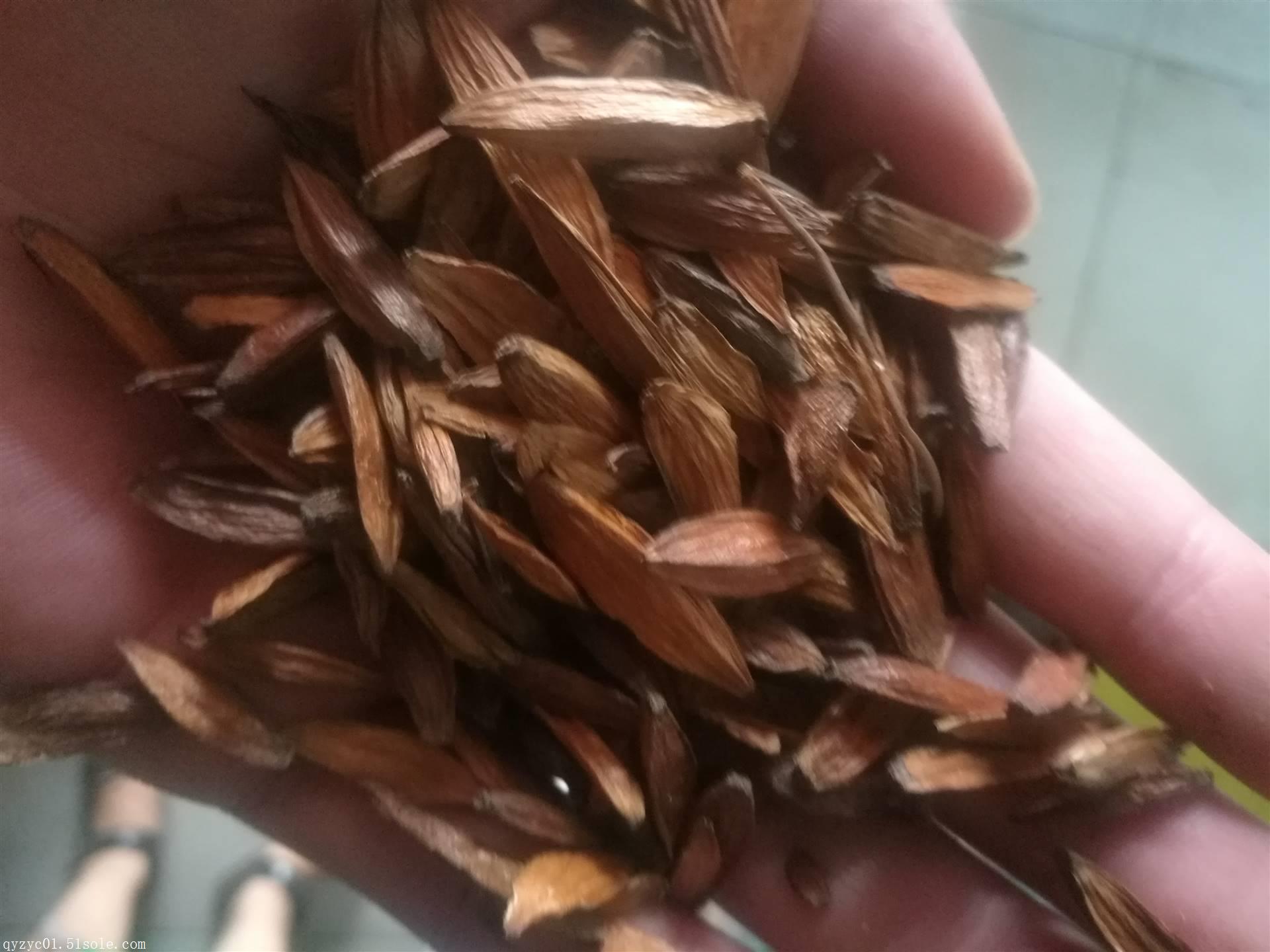 内蒙古赤峰红山哪里能买到芦荟佛山 中药配方颗粒