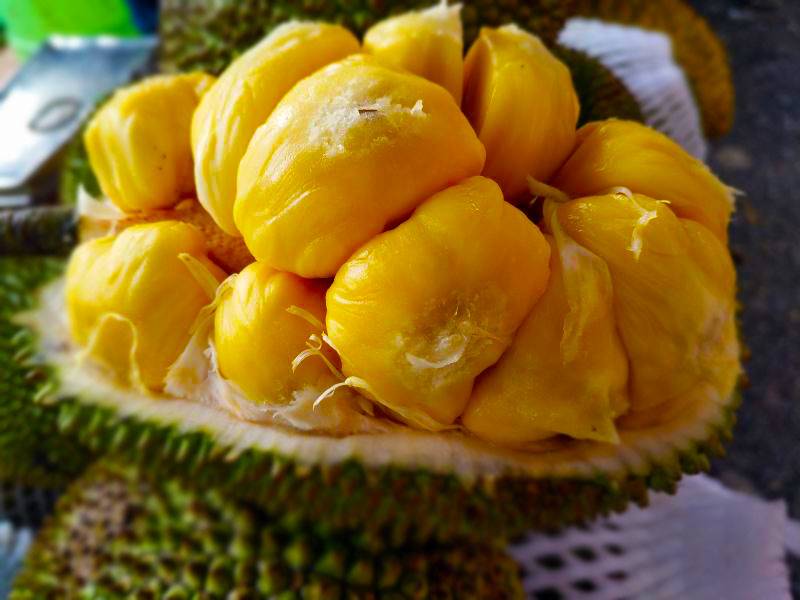 榴莲排名_榴莲品种排名图片大全(2)