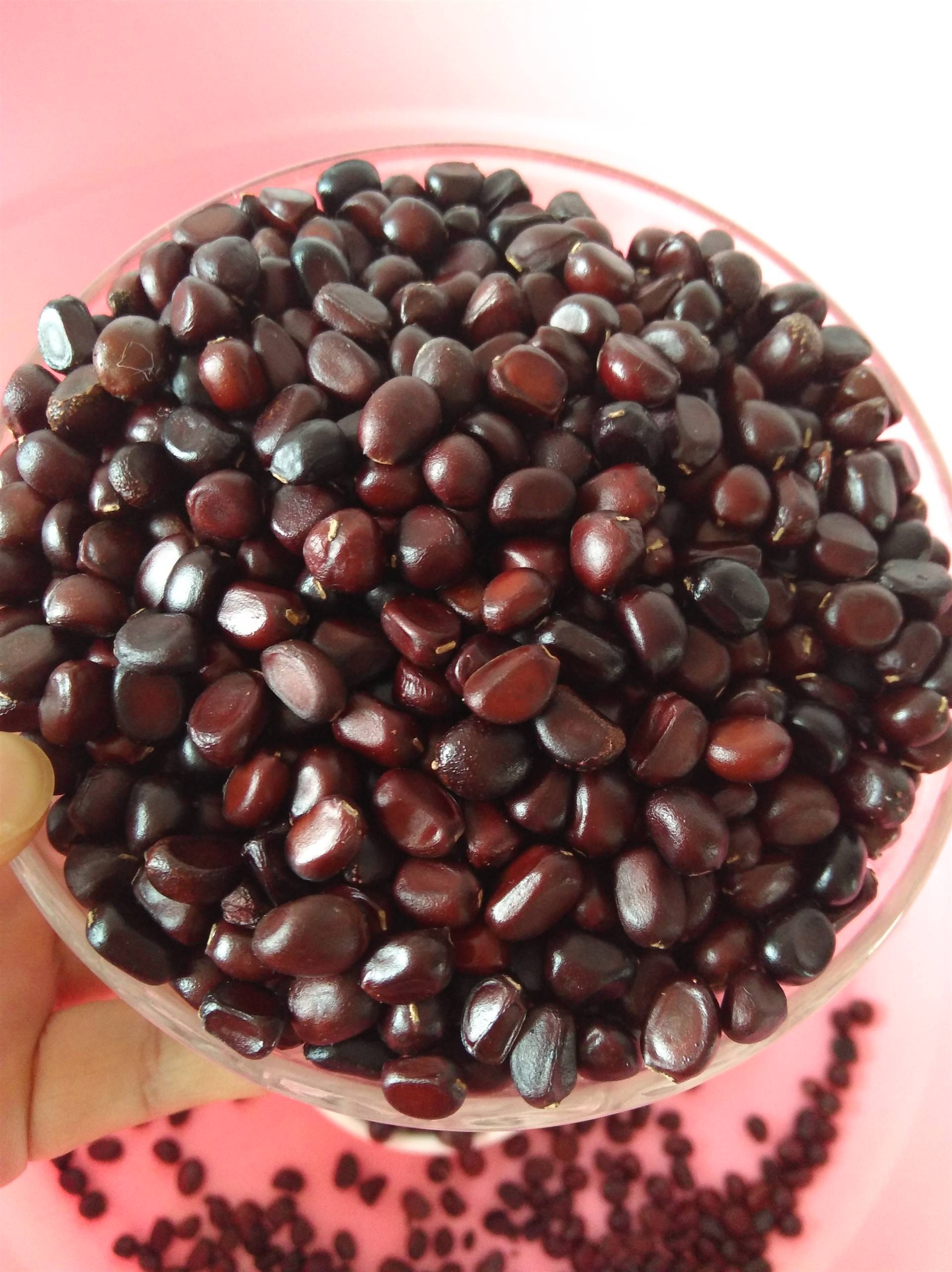 赤芍种子每亩地多少斤赤芍如何播种