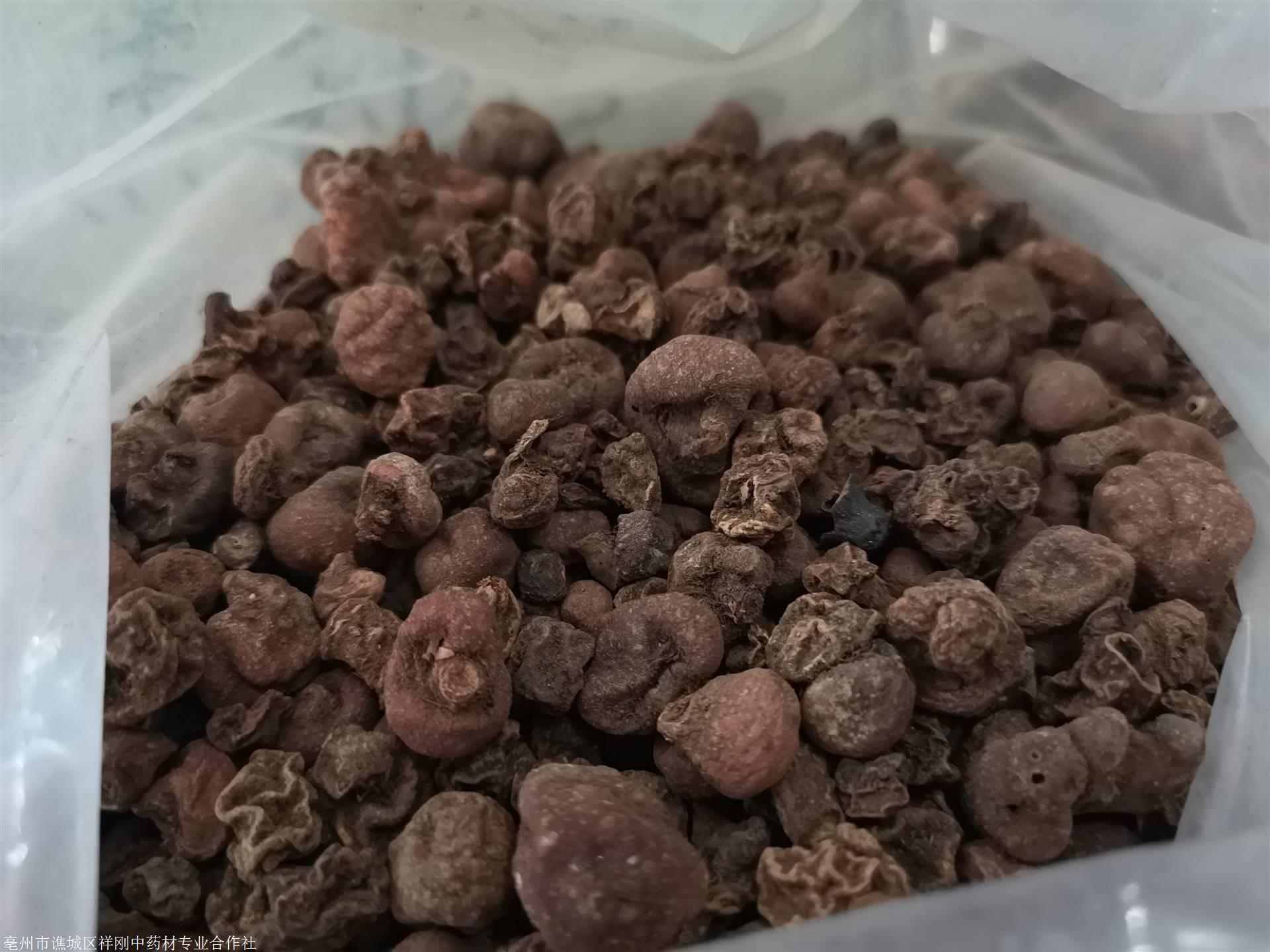 紫背天葵草功效与作用紫背天葵多少钱一公斤