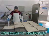 四川香豆腐生产厂家、火锅店用的香豆腐设备大约得投资多少钱