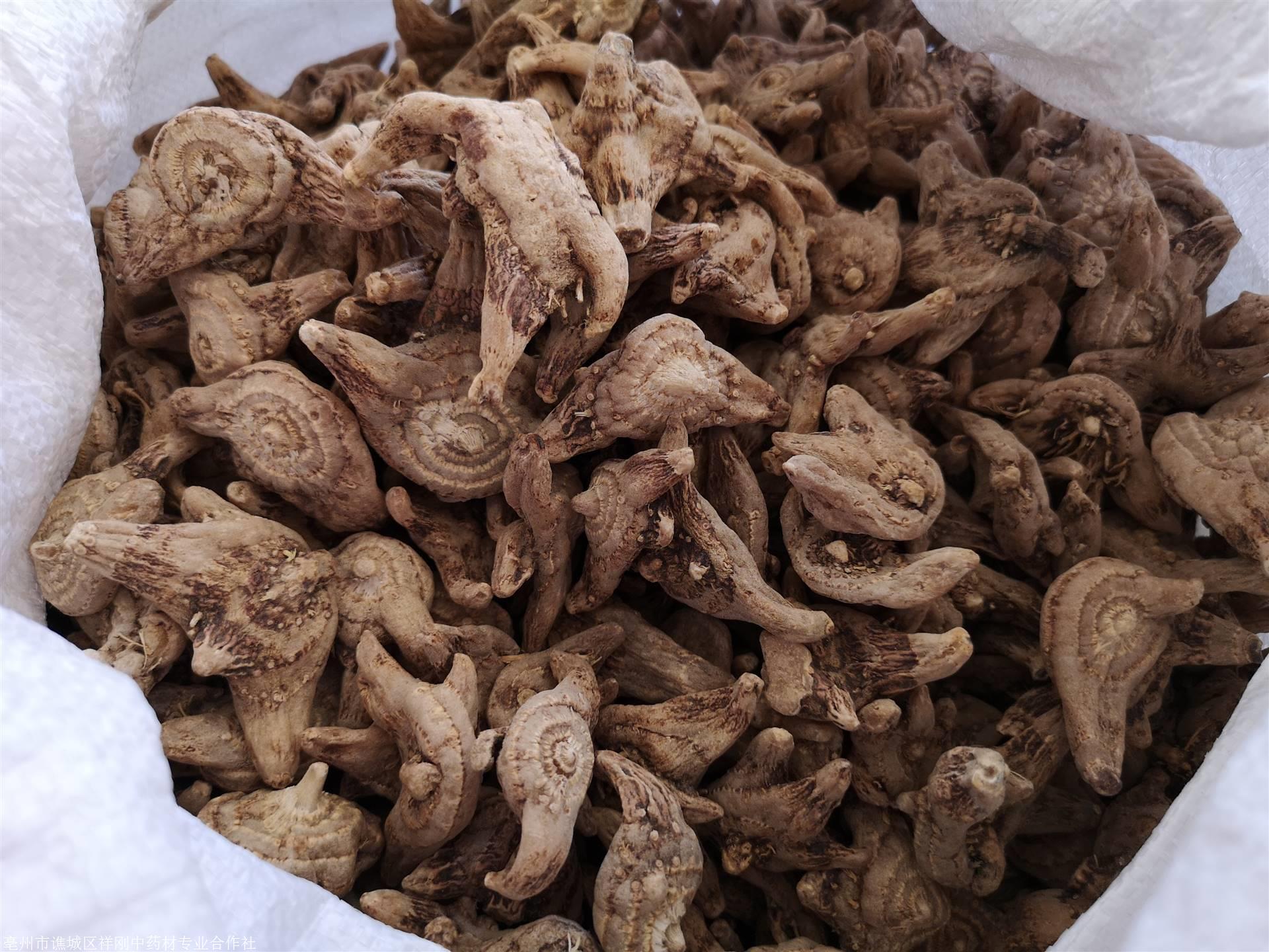 白及的作用与白芨市场价格多少钱一公斤