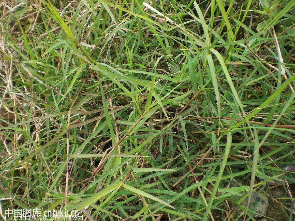 混合基材保水剂粘合剂自贡出售