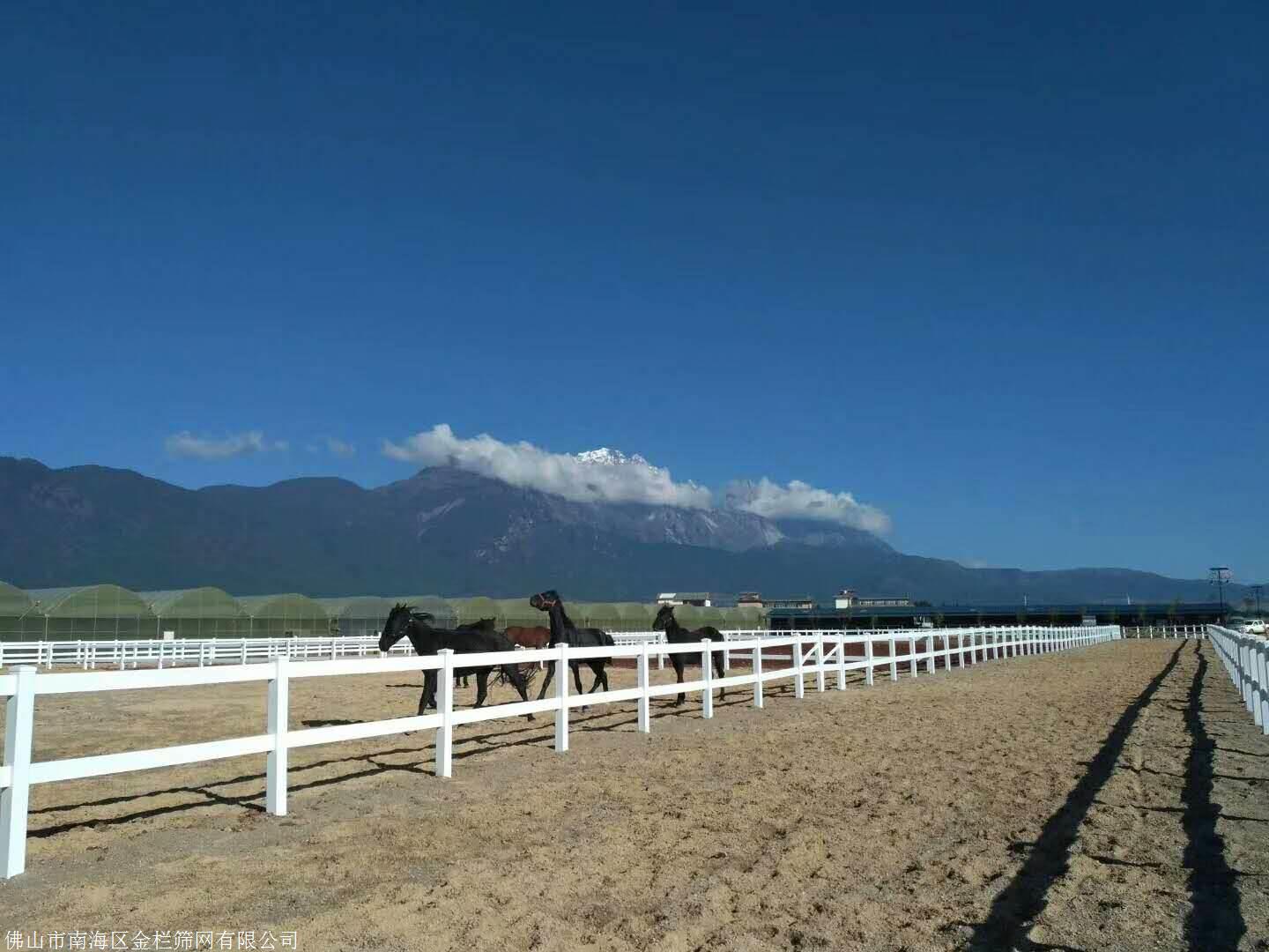 广州骑术中心马场护栏 pvc塑料围栏 俱乐部围栏多少钱