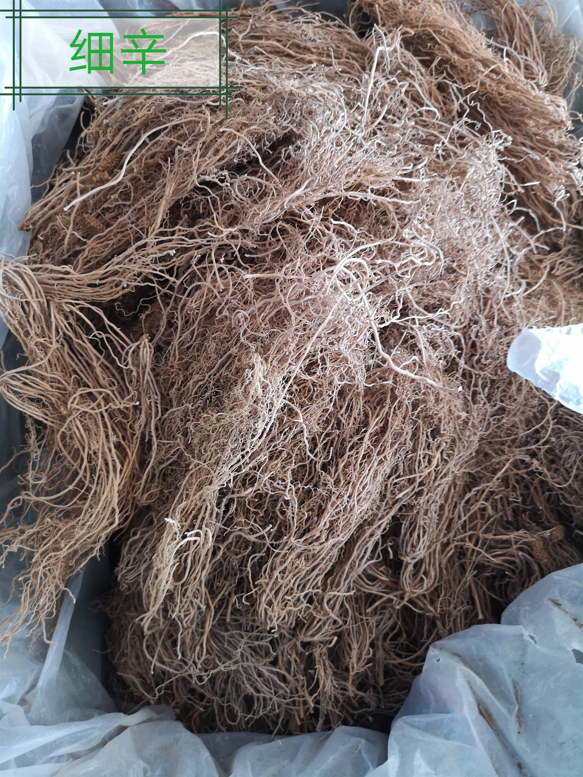 细辛哪里购买便宜,细辛市场批发价格多少钱