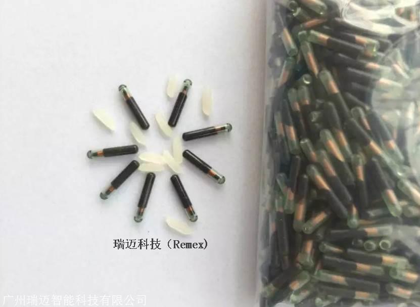 宠物芯片狗狗芯片马匹芯片动物芯片植入式玻璃管芯片