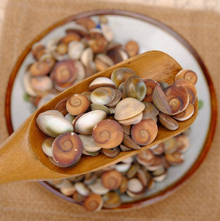 中药太极石功效与作用,太极石哪里可以买到