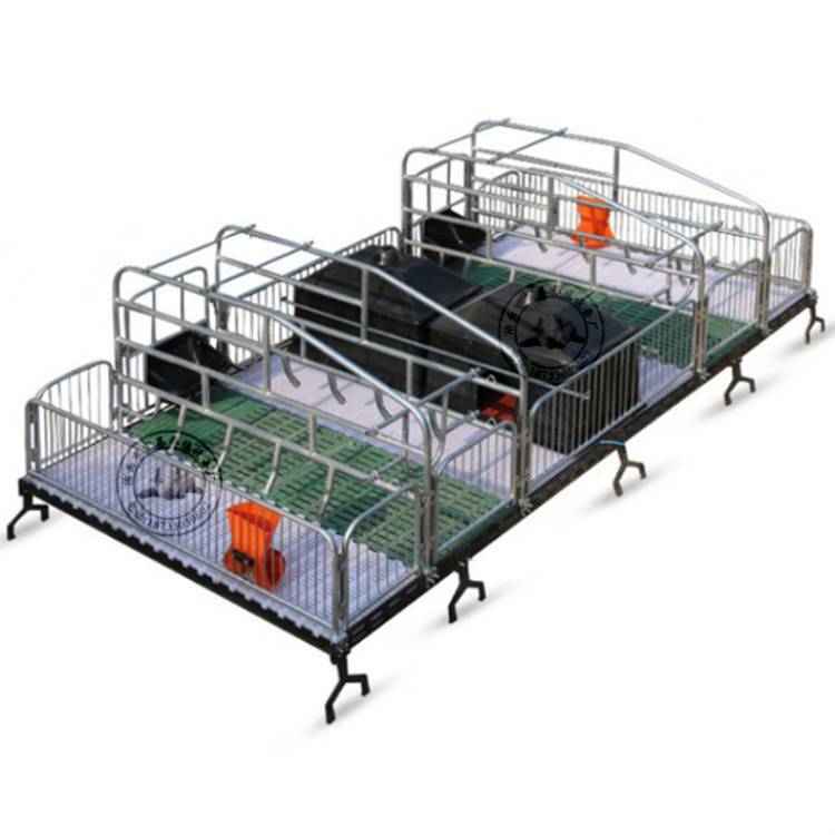 母猪双体产床 母猪分娩产子栏厂家批发零售 猪用产床