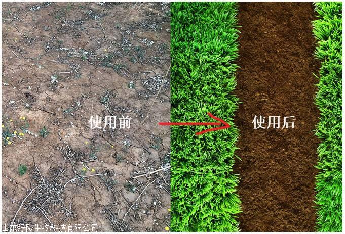 松土精 农林保水剂 消除土壤板结 疏松土壤 促进根系生长