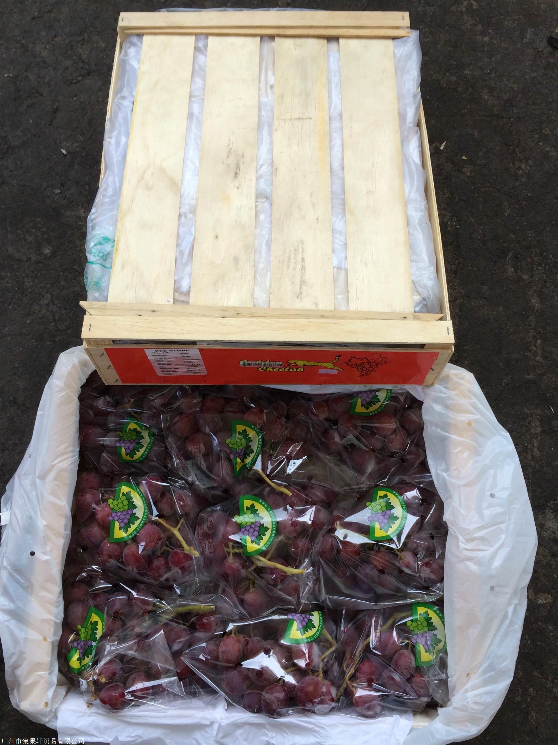 广州市集果轩贸易有限公司