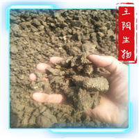 南宁哪里有卖牛粪