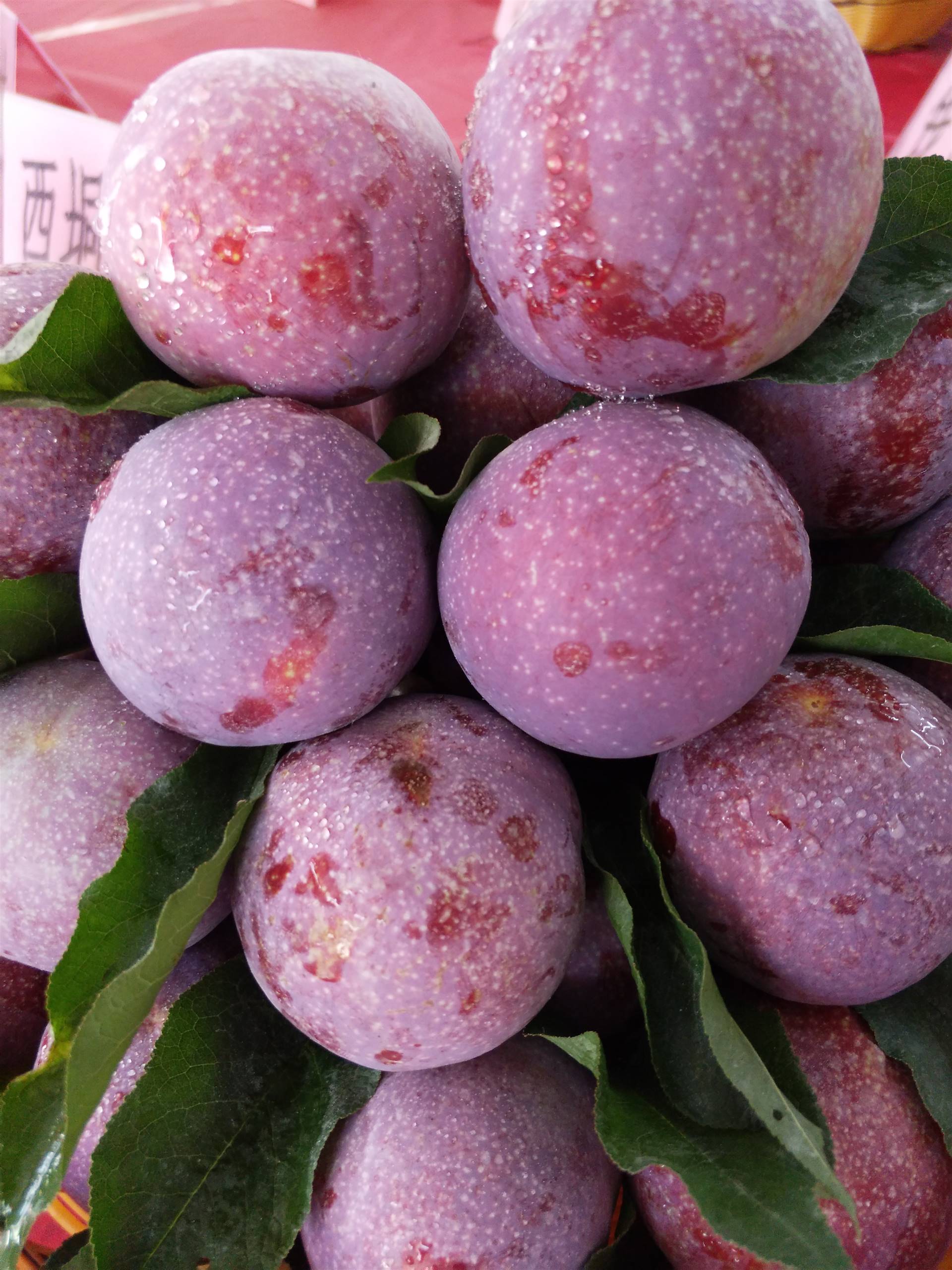 厦门凯晔服饰有限公司