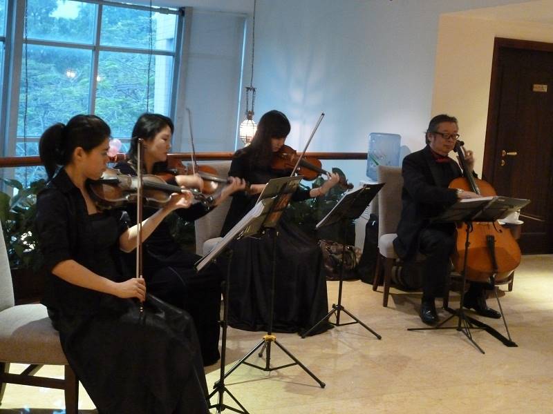 深港澳迎宾宴会酒会弦乐乐队