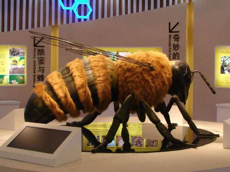 嗡嗡嗡的大蜜蜂昆虫模型出租勤劳小能手昆虫模型租赁