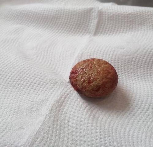 2019年狗宝 怎么鉴定 直接收购