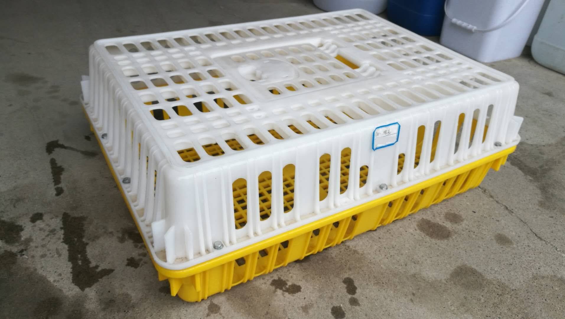 广西南宁塑料鸡笼厂家-广西蔚华塑胶