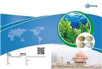 青岛企业宣传册印刷厂