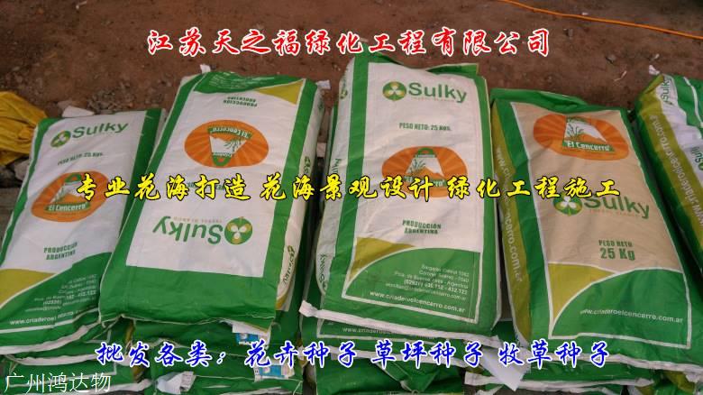黄花鸢尾种子多少钱斤-韶关黄花鸢尾种子