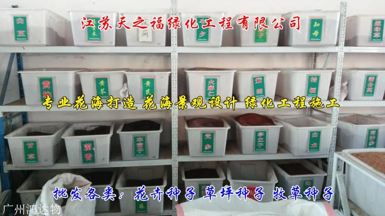 箭舌豌豆廠家直供-自貢箭舌豌豆