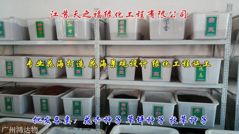 箭舌豌豆廠家直供-自貢箭舌豌豆
