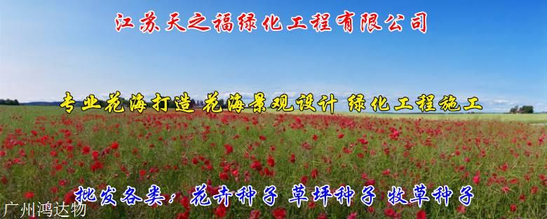 重瓣种子说明-湖州重瓣种子