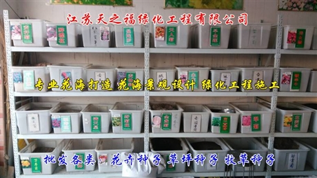 蓝花亚麻种子什么时候种-眉山蓝花亚麻种子