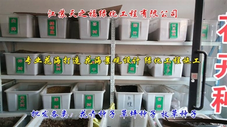 洋牡丹种根价钱如何-崇左洋牡丹种根