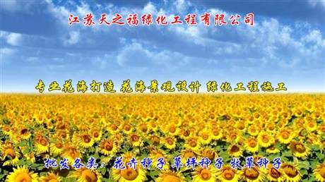狗牙根帶殼種子企業(yè)-上海狗牙根帶殼種子
