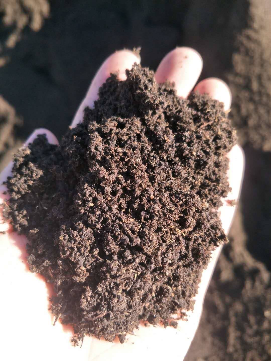 泥炭土和营养土哪个好