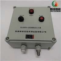 供应北京焦炉煤气XLGNFD-12防爆高能点火器
