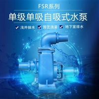 FSR-50水平单段式自吸泵