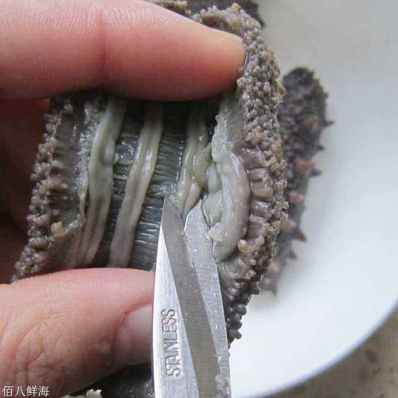 揭秘为什么干海参怎么泡发都不大的原因