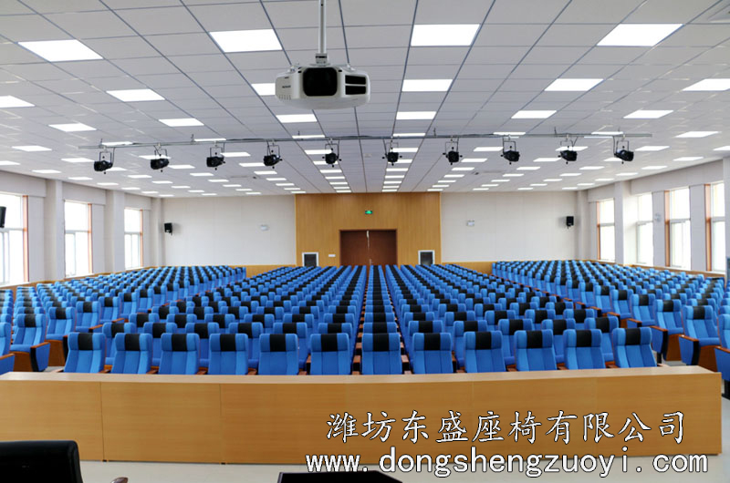 山东会议椅生产厂家潍坊东盛座椅，五年质保