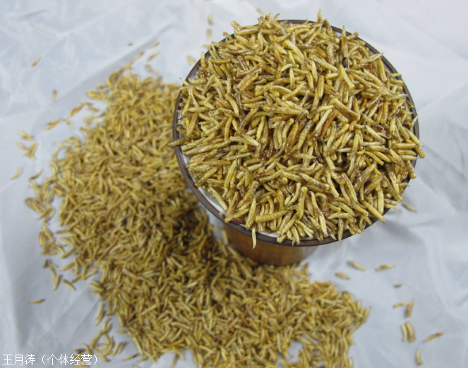 专卖高安龙齿哪里能买到龙齿哪里有卖的价格一般多少