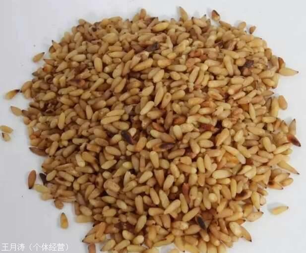 华容批发摩罗 摩罗冷背中药材冷背中药材