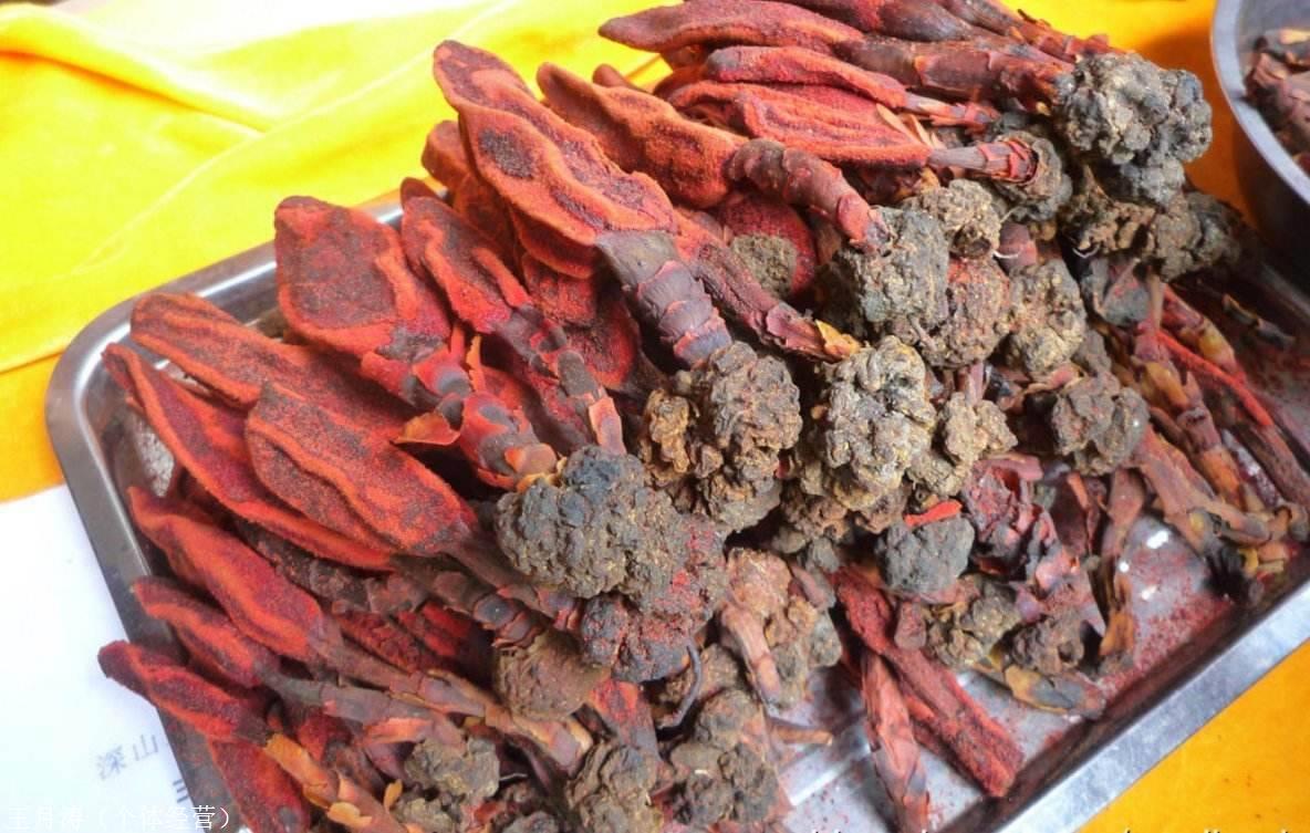 主推江源荨麻根荨麻根价格荨麻根多少钱能买到