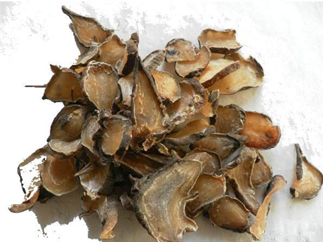 零售扶沟铁刺苓多少钱一斤铁刺苓哪里有卖的能买到便宜的