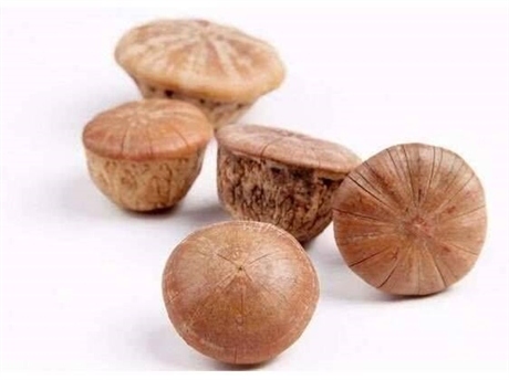 售卖周村半夏曲哪里能买到半夏曲哪里有卖的我想买