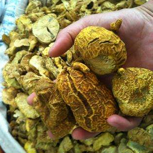 多少钱金山屯百节藕多少钱一斤百节藕哪里能买到卖家电话