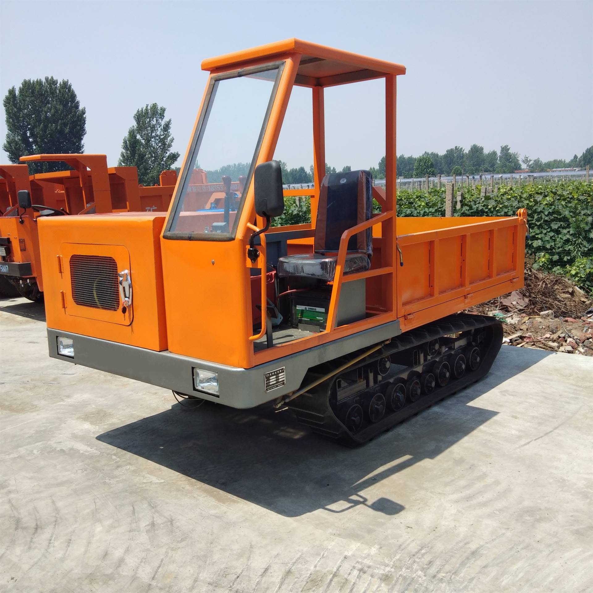 大量供应纯种乌骨羊 青年乌骨羊多少钱一只鸿泽牧业