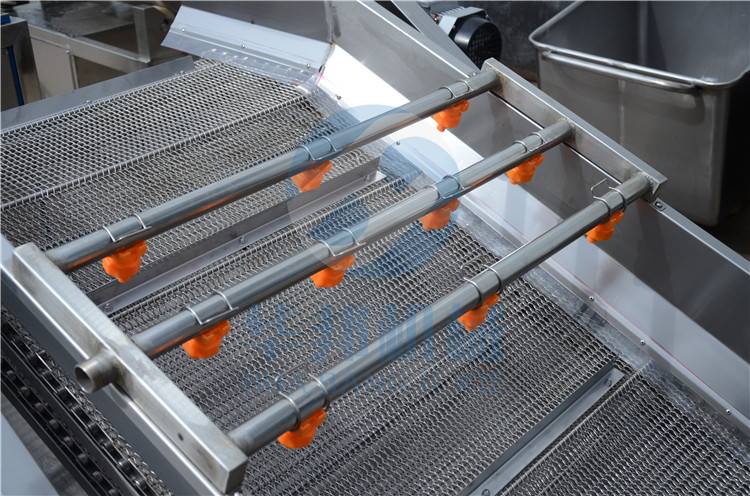 新疆大枣清洗机 冻干果蔬清洗设备