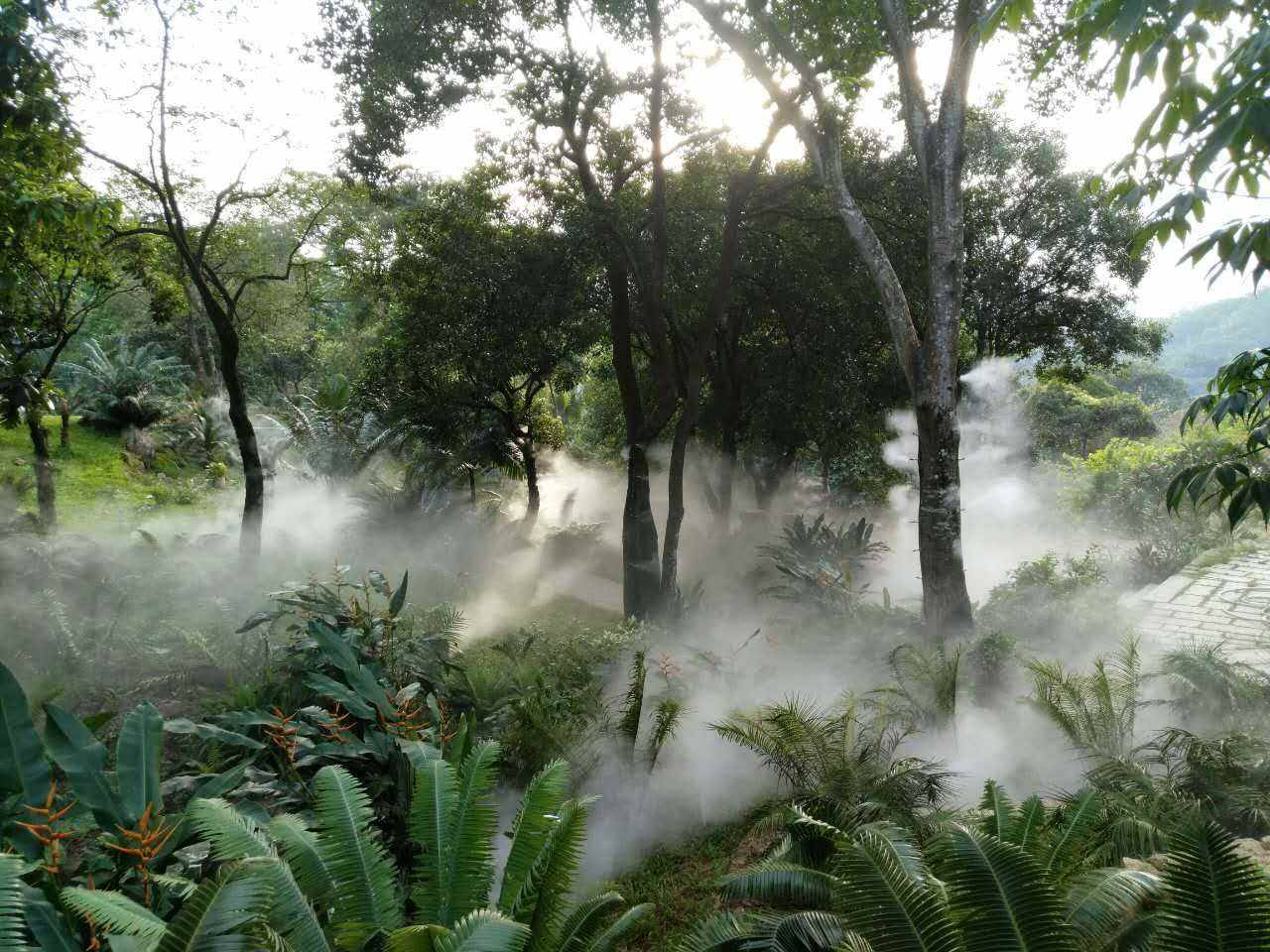 四川冷雾系统重庆造雾机众策山水为您喷雾造景景观造雾