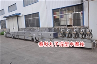 肉丸水煮线的配置，大型肉丸水煮线，小型肉丸水煮线价格