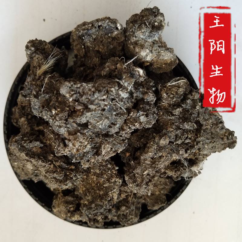 山东发酵纯羊粪哪家好