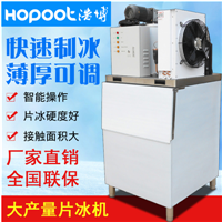 广州片冰机厂家低价销售