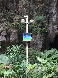 黑龙江省森林负氧离子浓度监测