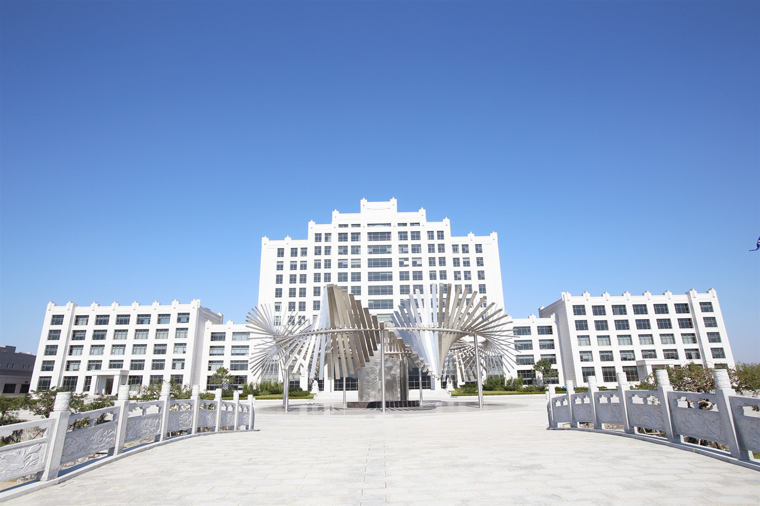 大连双迪科技股份有限公司